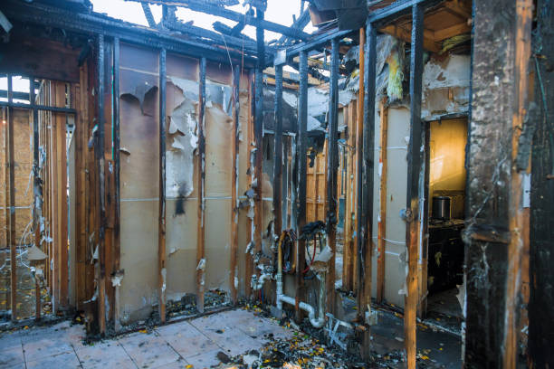 Professional Fire Damage Repair technician working in Arlington, MN