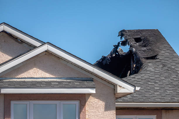 Top rated local Fire Damage Repair specialists in Arlington, MN